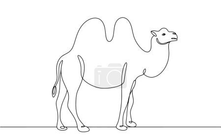 Illustration for Camel with two humps. Camel breeding. One line drawing for different uses. Vector illustration. - Royalty Free Image