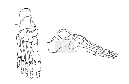Ilustración de Huesos del pie humano. Estructura anatómica de la pierna. Semana de acción conjunta y ósea. Dibujo de una línea para diferentes usos. Ilustración vectorial. - Imagen libre de derechos