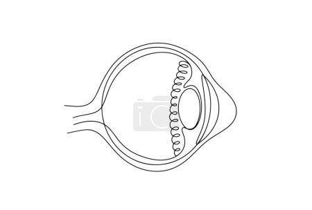 Illustration for Deformation of the cornea of ??the eye. Keratoconus. World Keratoconus Day. One line drawing for different uses. Vector illustration. - Royalty Free Image