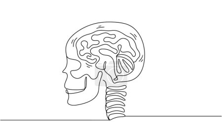 Illustration for Human skull with a silhouette of a brain inside. Symbolic image of a concussion. Vector illustration. Images produced without the use of any form of AI software at any stage. - Royalty Free Image