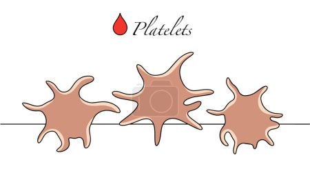 Illustration for Platelets. Formed elements of blood that help form clots and stop bleeding. Color vector illustration for different uses. Images produced without the use of any form of AI software at any stage. - Royalty Free Image
