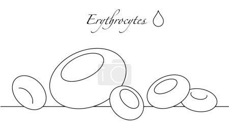 Illustration for Blood cells that transport oxygen from the lungs to the tissues of the body. Vector illustration. Images produced without the use of any form of AI software at any stage. - Royalty Free Image