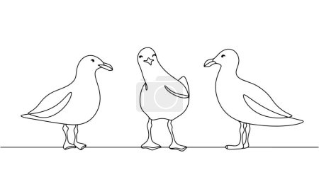 Seagulls stand on the ground in different poses. Birds that live in marine areas or inland waters. Vector illustration. Images produced without the use of any form of AI software at any stage. 