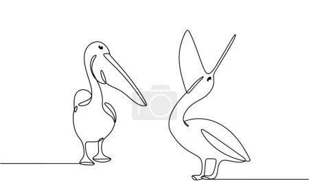 Illustration for Pelican with open and closed beak. An amazing bird that can be found on all continents except Antarctica. Vector illustration. Images produced without the use of any form of AI software at any stage. - Royalty Free Image