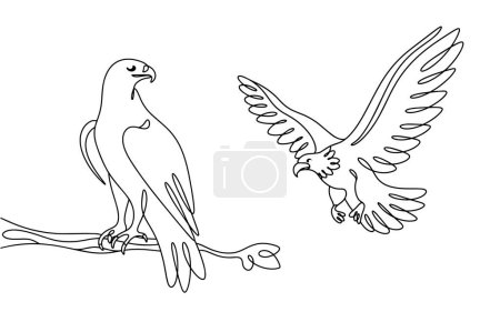 An eagle sitting on a branch and an eagle in flight. Two large birds of prey. Vector illustration. Images produced without the use of any form of AI software at any stage. 