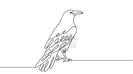 Ilustración de El cuervo está de pie en el suelo. Un pájaro muy inteligente que vive cerca de la gente. Dibujo de línea para diferentes usos. Vector. Imágenes producidas sin el uso de ningún tipo de software de IA en cualquier etapa. - Imagen libre de derechos