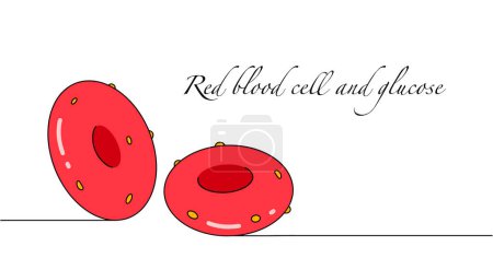 Glóbulos rojos con glucosa. Ilustración del vector de color.