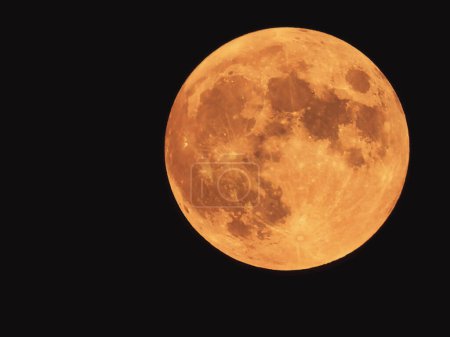 Téléchargez les photos : Pleine lune dans un ciel nocturne sombre en été - en image libre de droit