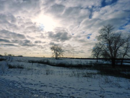 Téléchargez les photos : Champ enneigé avec arbres sans feuilles et ciel dramatique en janvier - en image libre de droit