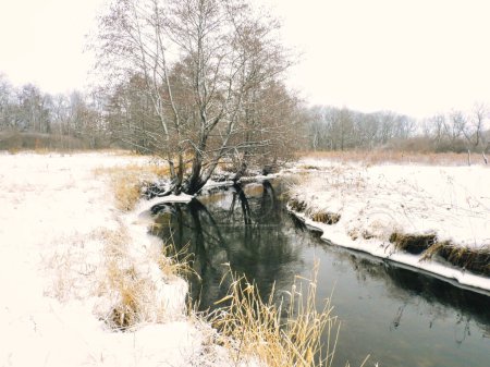 Téléchargez les photos : Entourage couvert de neige autour du ruisseau Running en janvier - en image libre de droit