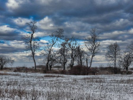 Téléchargez les photos : Terre enneigée dans les Prairies en janvier - en image libre de droit