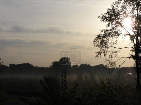Téléchargez les photos : Matin brumeux lever de soleil sur la prairie un jour d'été - en image libre de droit
