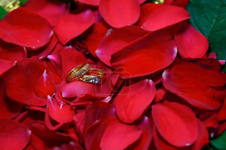 Engagement gold metal rings on the red rose flower petals placed one over one.
