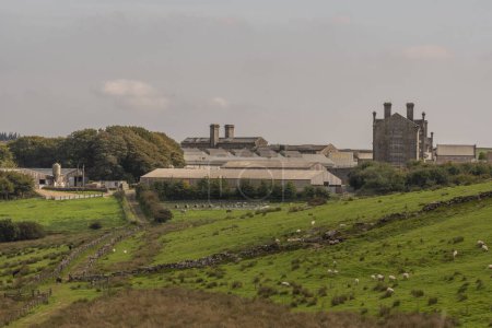 Photo for Princetown, Dartmoor, Devon, England, UK.  4th September 2023. Farm attached the the Dartmoor prison with prison building in the background at Princetown, Devon, UK - Royalty Free Image