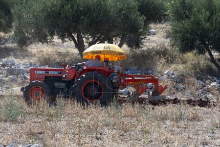 Photo for Malia, Crete, Greece, Europe. 27.09.2023.  Farmer driving a red tractor with an unbrella to shade the sun while ploughing a small plot of farmland in a stoney area of northern Crete. - Royalty Free Image