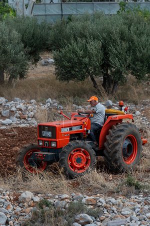 Photo for Malia, Crete, Greece, Europe. 27.09.2023.  Farmer driving a red tractor to plough a small plot of farmland in a stoney area. - Royalty Free Image