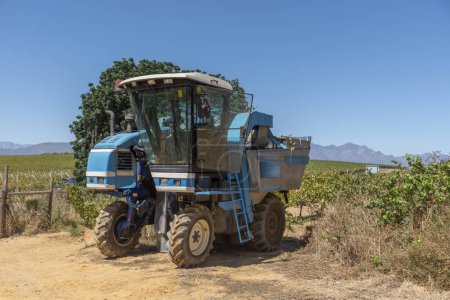 Riebeek West, Western Cape, South Africa.  27. 02. 2024.  Grape harvesting  machine in a vineyard in the Swartland region of South Africa.