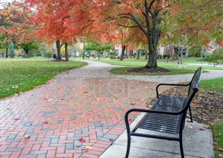 Escena del parque urbano con banco de metal negro por camino de ladrillo rojo y árbol de arce en el fondo con follaje rojo de otoño en un día lluvioso.