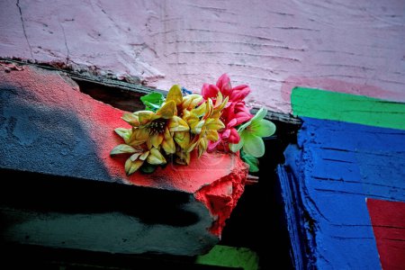 Téléchargez les photos : Colorful flowers on abandoned house - en image libre de droit
