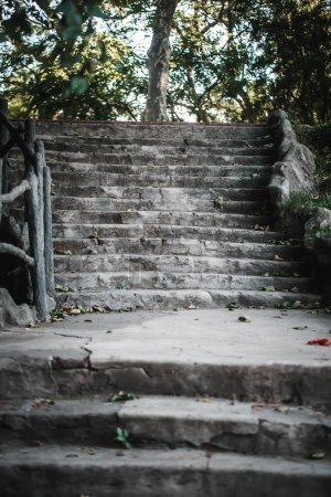 Photo for Old stone stairs in the park - Royalty Free Image