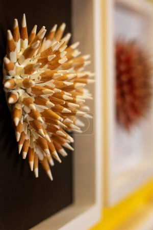 Photo for Close up of composition from wooden pencils - Royalty Free Image
