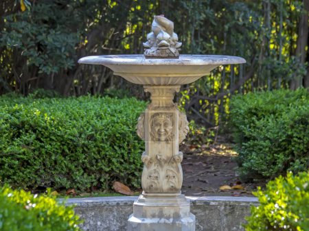 Téléchargez les photos : Belle fontaine dans le parc verdoyant - en image libre de droit