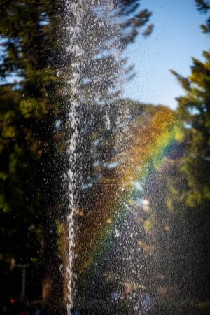 Téléchargez les photos : Rainbow over blurred green trees and water splash - en image libre de droit