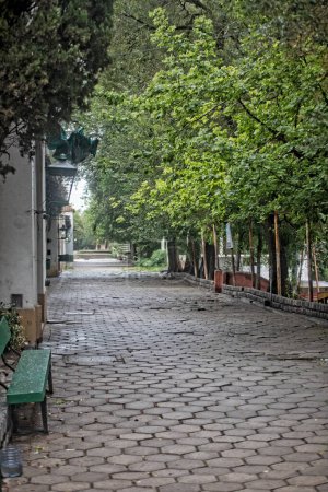 Photo for Pavement near houses in green city - Royalty Free Image