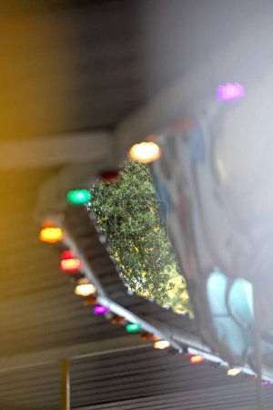 Foto de Abstract colorful lights with mirror reflection of park on wooden ceiling - Imagen libre de derechos