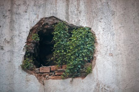 Téléchargez les photos : Hole in abandoned concrete wall - en image libre de droit