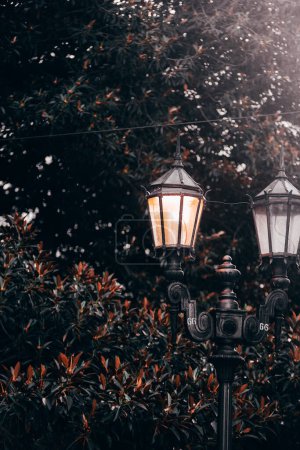 Foto de Street lamps in the city park - Imagen libre de derechos