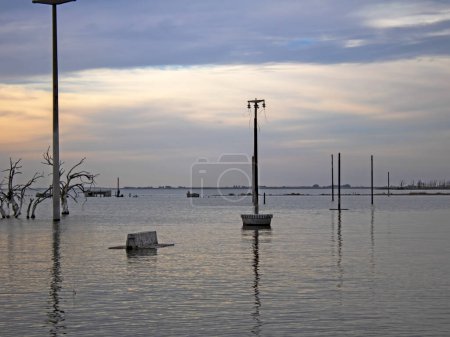 Téléchargez les photos : Lake with flooded electricity poles and trees - en image libre de droit