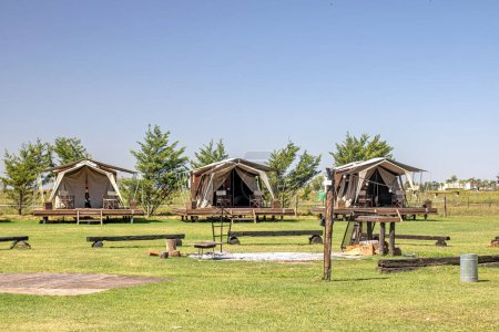 Photo for Glamping units on green meadow - Royalty Free Image