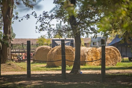 Téléchargez les photos : Balles de foin dans le champ à la ferme - en image libre de droit