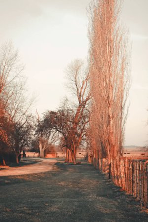 Téléchargez les photos : Une route avec une clôture et des arbres en arrière-plan - en image libre de droit