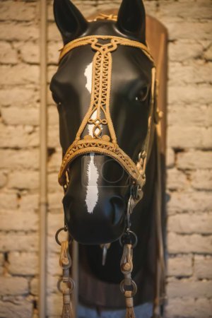 Foto de Una cabeza de caballo con un arnés en la cabeza - Imagen libre de derechos