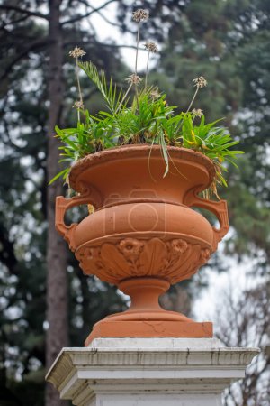 Photo for A vertical shot of a pot of a flower plant  on the street - Royalty Free Image