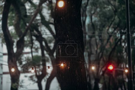 Téléchargez les photos : Un lampadaire avec un arbre en arrière-plan - en image libre de droit