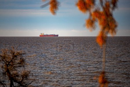 Photo for A large ship sailing in the ocean with a tree in the foreground - Royalty Free Image