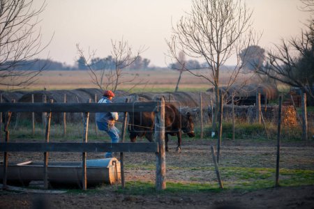 Foto de Hombre con vaca en la granja en el campo - Imagen libre de derechos