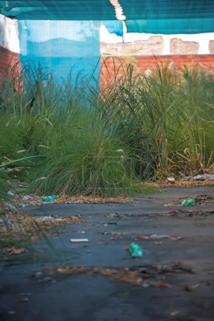 Photo for Garbage and green grass in the city - Royalty Free Image