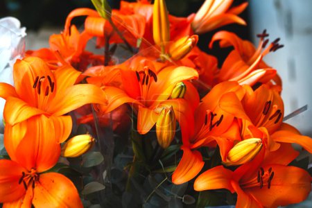 Foto de Primer plano de las flores naranjas sobre fondo borroso - Imagen libre de derechos