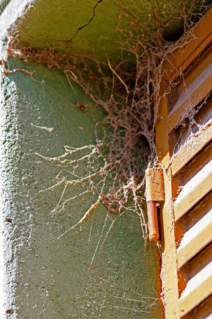 Téléchargez les photos : Toile d'araignée est attaché à un bâtiment - en image libre de droit