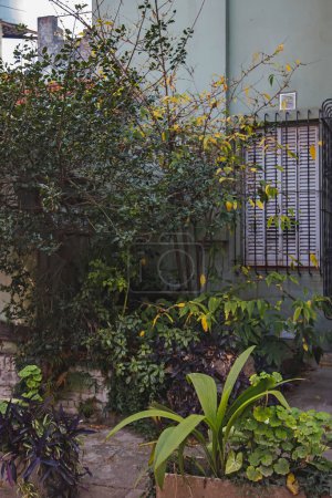 Foto de Casa rodeada de plantas verdes en Buenos Aires - Imagen libre de derechos