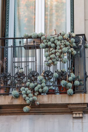 Foto de Vieja ventana en Buenos Aires - Imagen libre de derechos