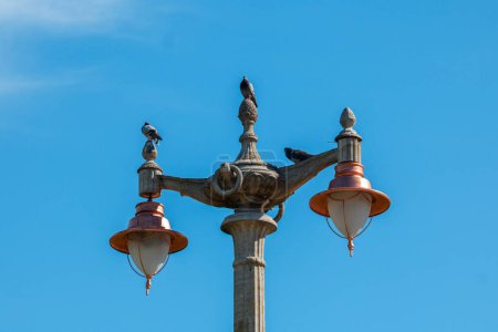 Photo for Vintage street lamps in Buenos Aires - Royalty Free Image