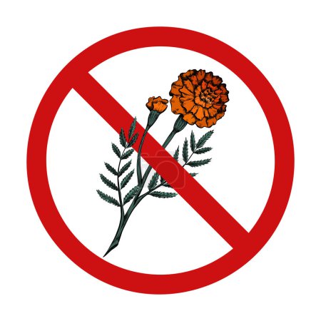 Ilustración de Marigolds in the forbidden sign. Vector prohibition sign with flower sketch. Don t pick flowers. Rare plants. Allergy danger. - Imagen libre de derechos