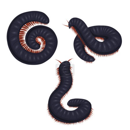 Illustration for Vector set of scary centipedes isolated from background. Collection of cartoon julida. Kit of millipede insect. Multiped with a chitinous shell. - Royalty Free Image