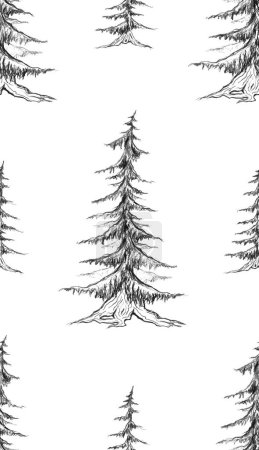 Illustration for Pattern with pencil sketch fir trees on a white background. Natural texture with pines. Rustic forest background. - Royalty Free Image