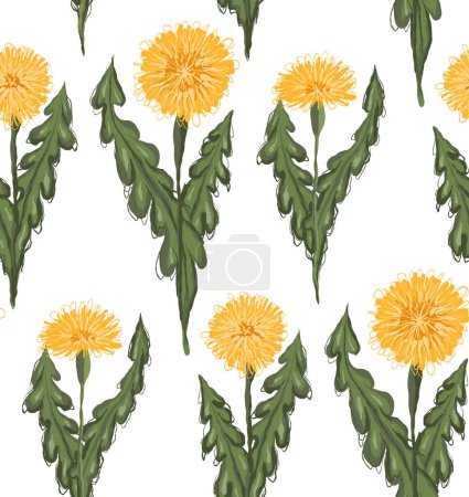 Illustration for Pattern with sketched yellow dandelions with leaves in row on white background. Vector botanical scrawl floral texture for fabrics. Wallpaper with tile of scribble taraxacums - Royalty Free Image